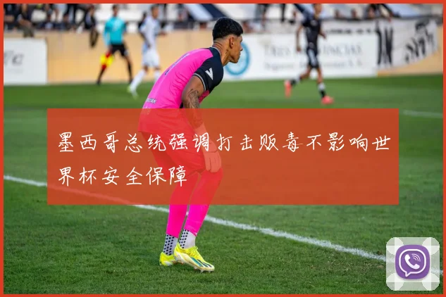 墨西哥总统强调打击贩毒不影响世界杯安全保障